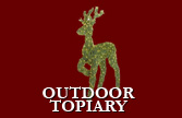 Outdoor Topiary