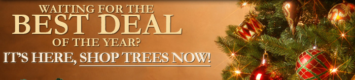 Shop the best deal of the year on Premium Artificial Christmas Trees
