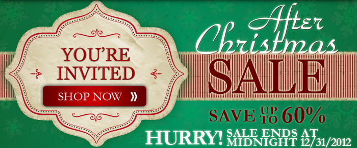 The Christmas Lights Etc HUGE After Christmas Sale! 
