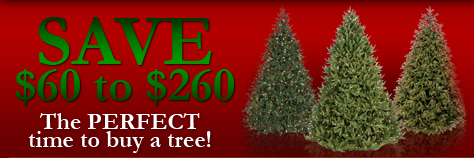 Black Friday Sale on Lights