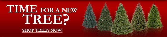 Black Friday Sale on Lights