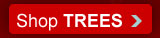 After Christmas Sale - Christmas Lights Etc