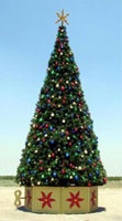 Giant Pine Christmas tree