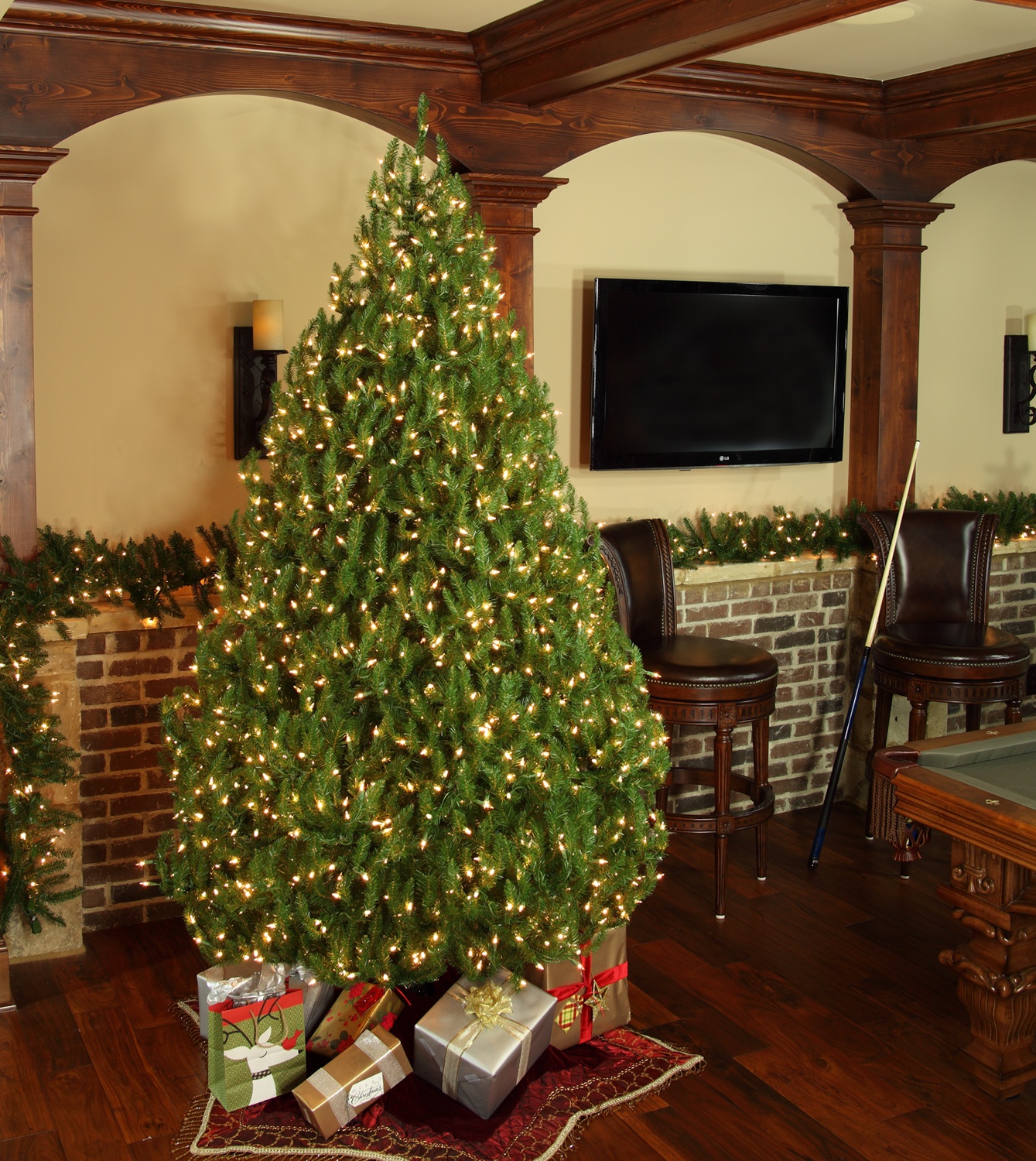 Norway Spruce Tree
