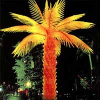 lighted palm trees