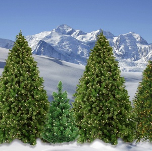 outdoor christmas trees