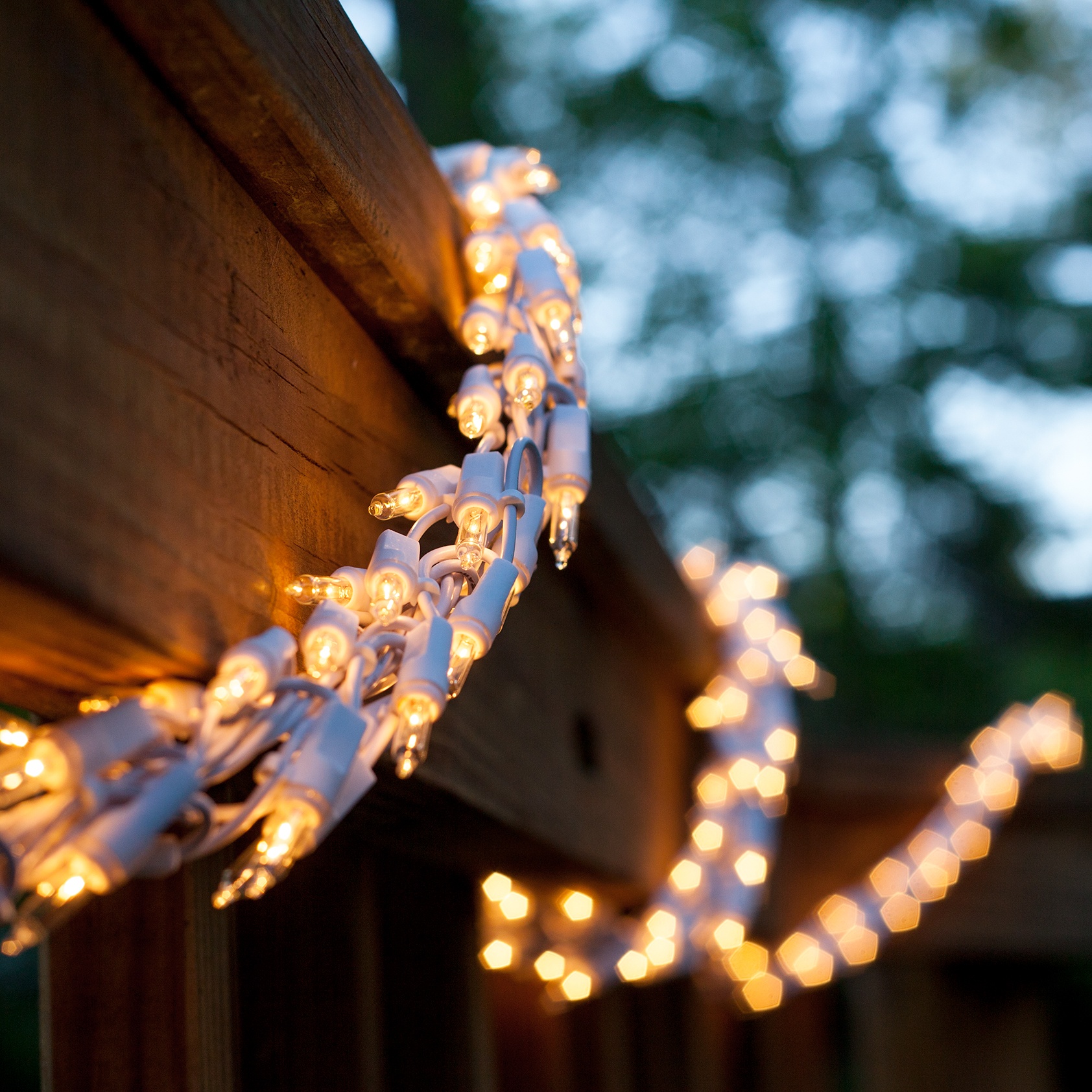 garland lights