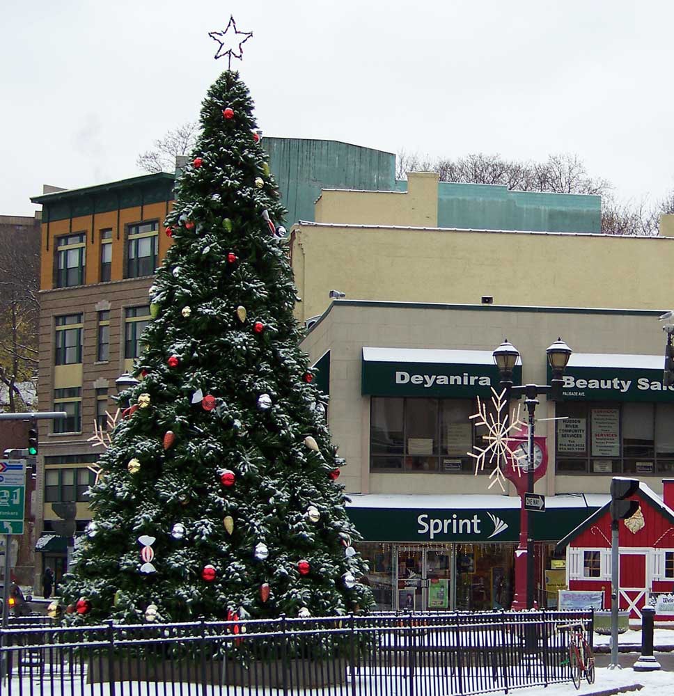 c7 giant christmas tree
