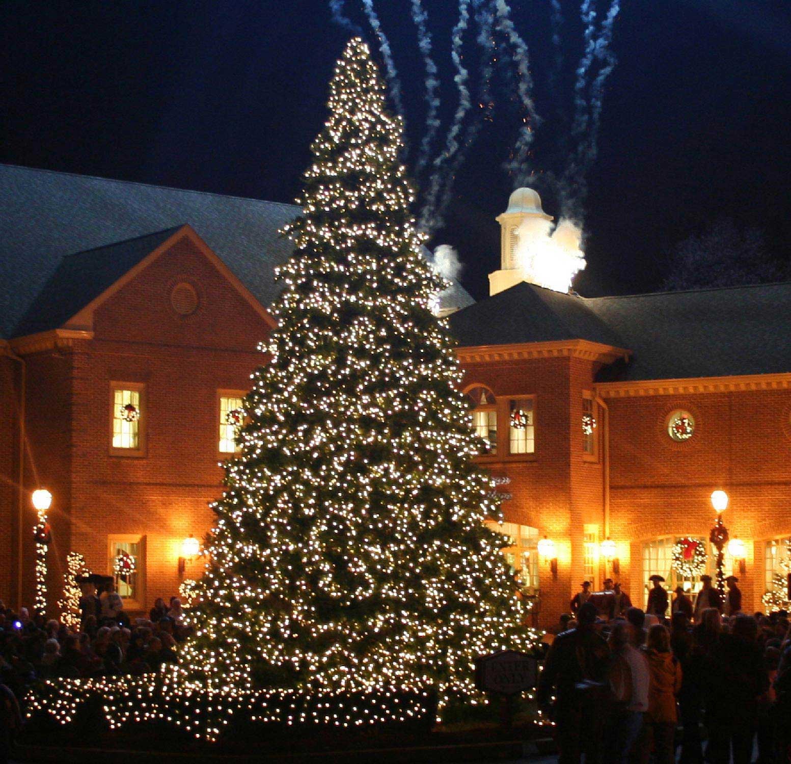 Commercial Christmas Trees