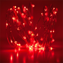 Fairy craft lights