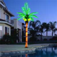 lighted palm trees