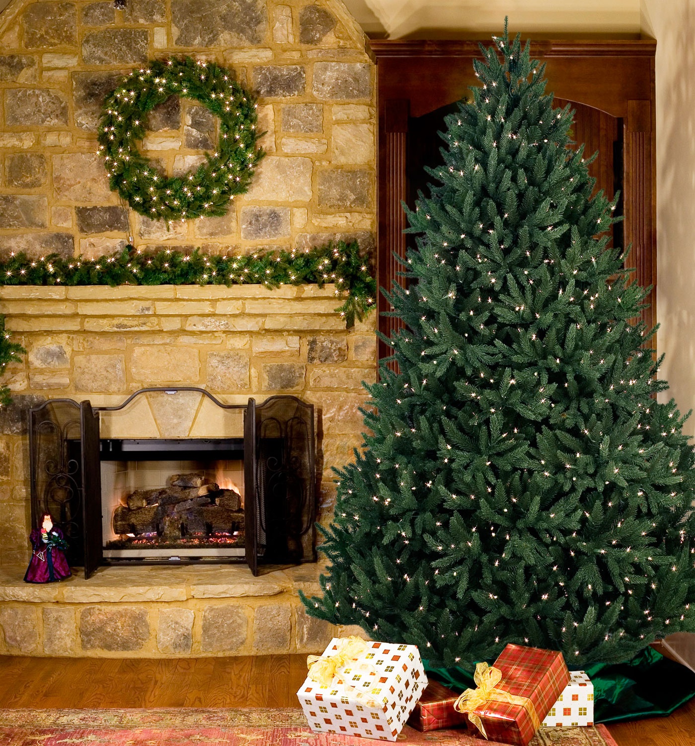 Noble Fir - Breathtaking green foliage