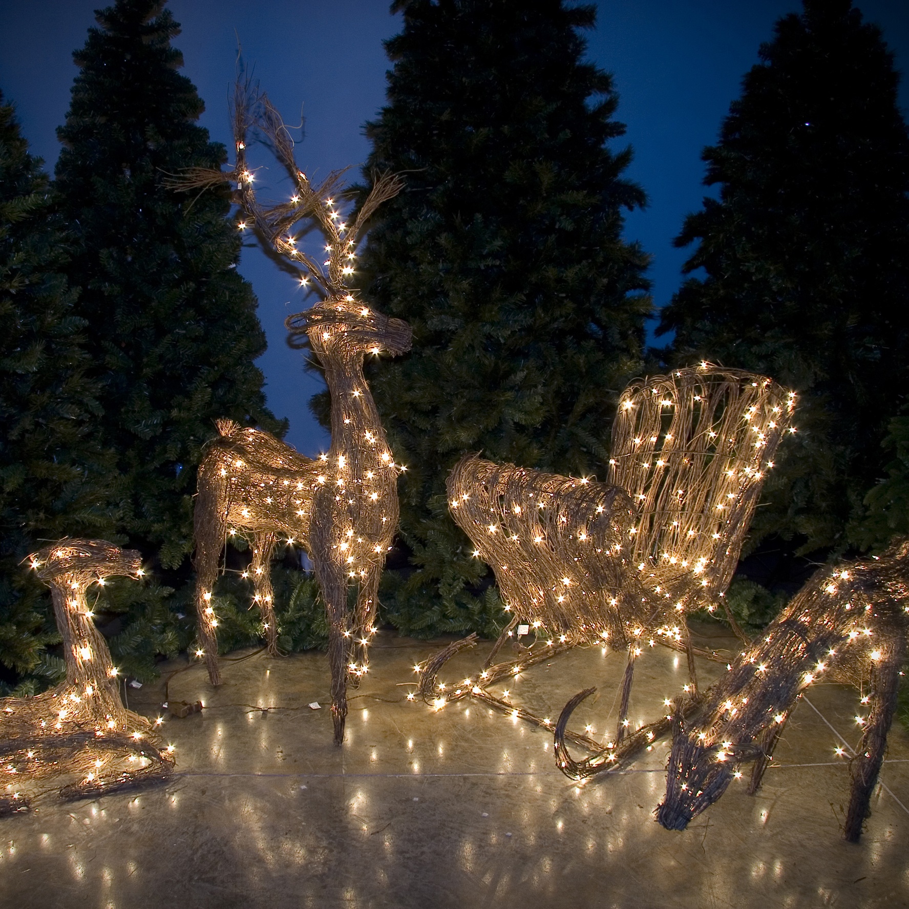 Topiary and Grapevine Reindeer on Sale