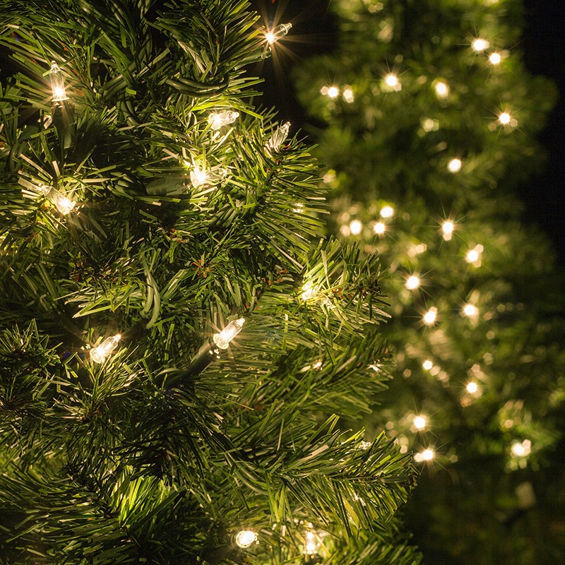 Outdoor Christmas Trees For Porch 2021