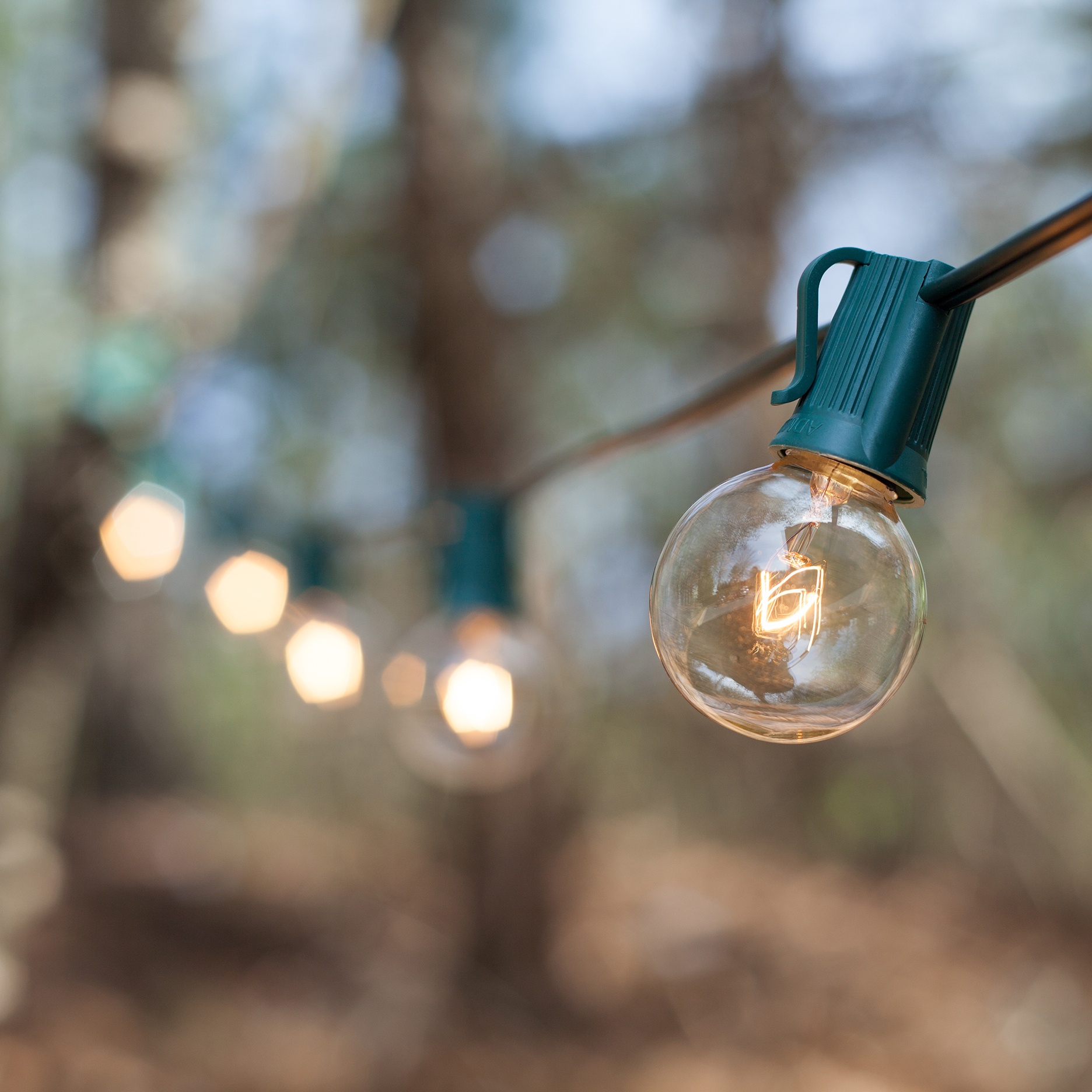 Patio Lights Commercial Clear Globe String Lights, 50 G40 E17 Bulbs