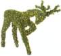 outdoor christmas decorations