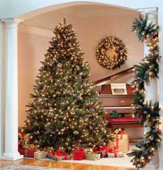 Hawthorne Christmas Tree