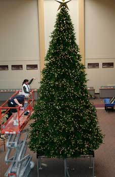 Giant Christmas Tree Assembly