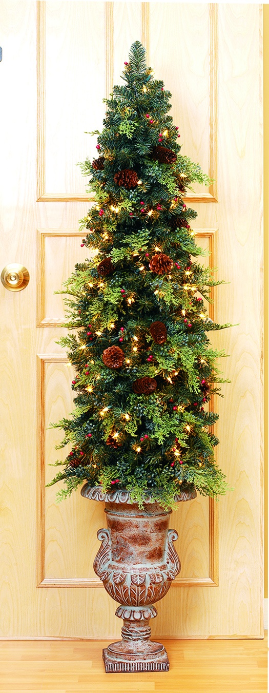 Mixed Pine and Cedar Potted Christmas Tree