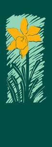 Summer Daffodil Light Pole Banner 30" x 60"