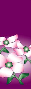 Dogwood Flowers on Purple Background Light Pole Banner 30" x 96"