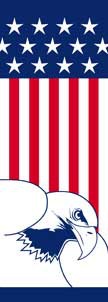 Flag and Eagle Light Pole Banner 30" x 94"