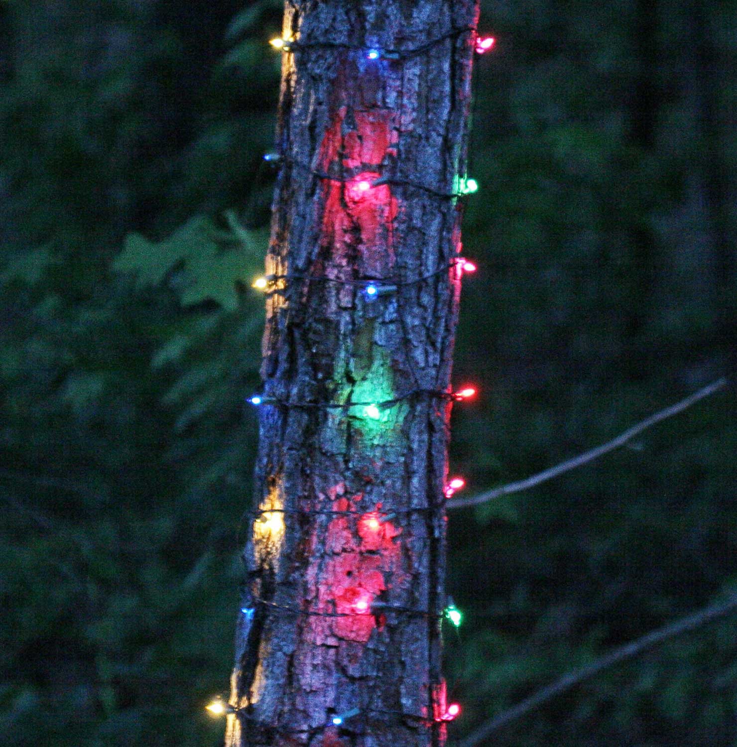 Product ID: 15257 Description: 2' x 8' Trunk Wrap - 100 Multi Red, Green, Pink, Blue, Yellow Lights, Green Wire