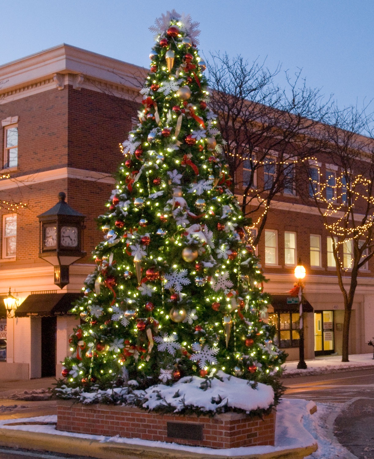 Product ID: 19185Description: 14' Full Pre-Lit Giant Everest Fir Tree, 624 G20 LED Clear Lamps