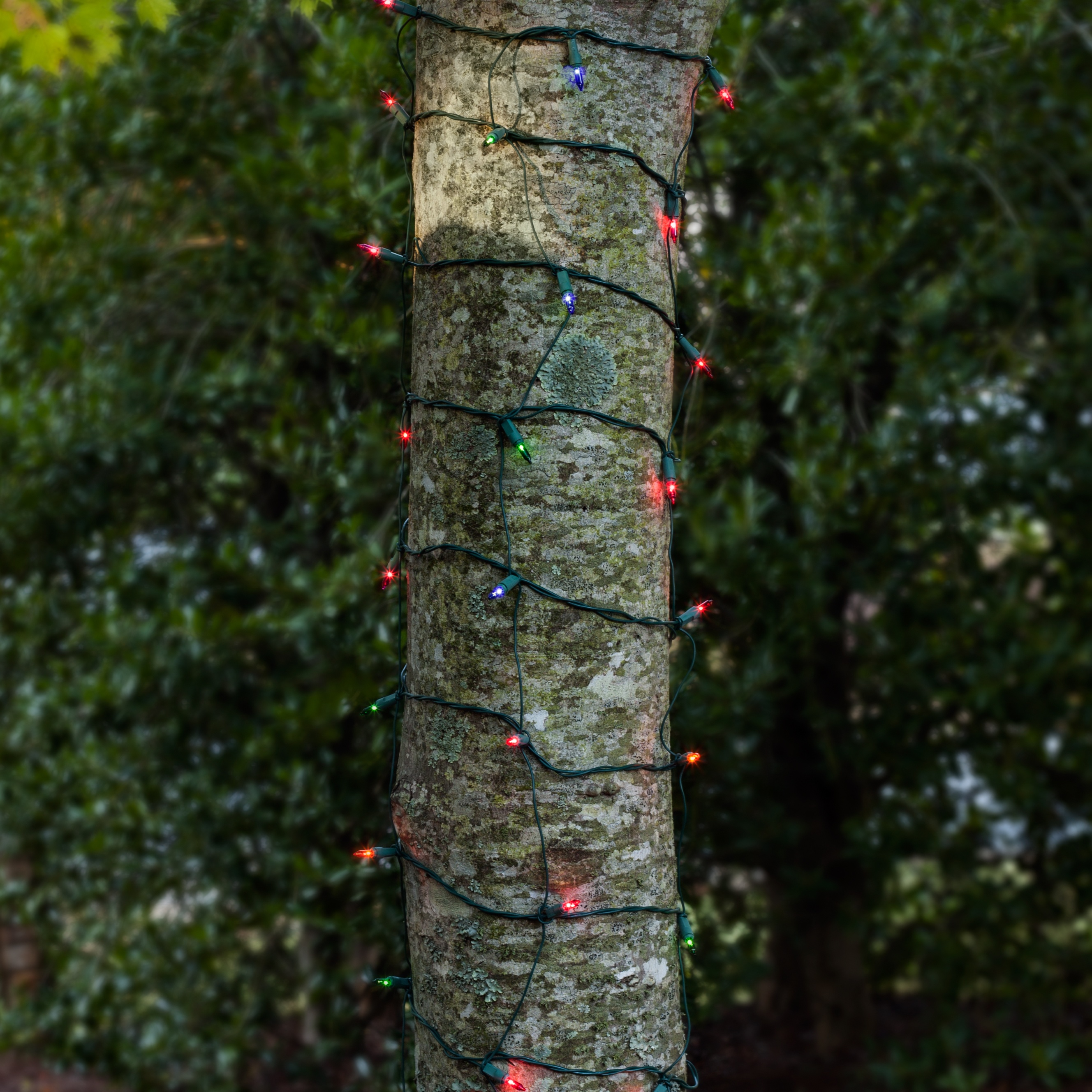 christmas net lights 2 x 8 trunk wrap 100 multi red christmas net lights 2 x 8 trunk wrap 100 multi red