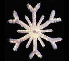 12' Snowflake Building Front, Clear Lights