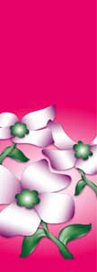 Dogwood Flowers on Pink Background Light Pole Banner 30" x 60"