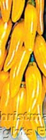 Yellow Chili Pepper Cluster