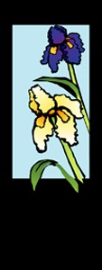Iris Junior Light Pole Banner 17" x 41"
