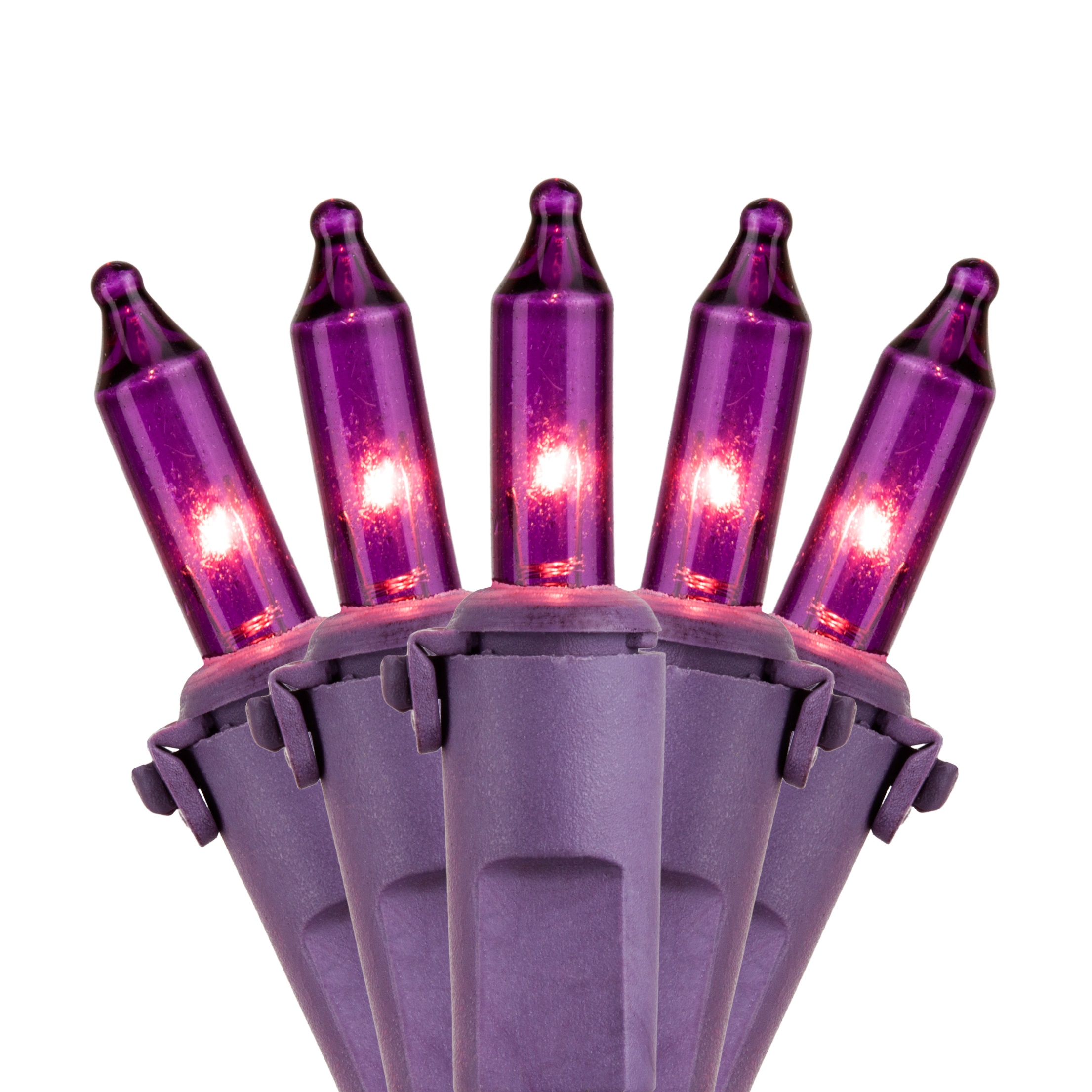 Purple Passion Mini Lights