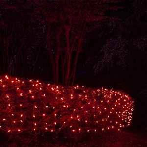 4' x 6' Net Lights - 150 Red Lamps - Green Wire