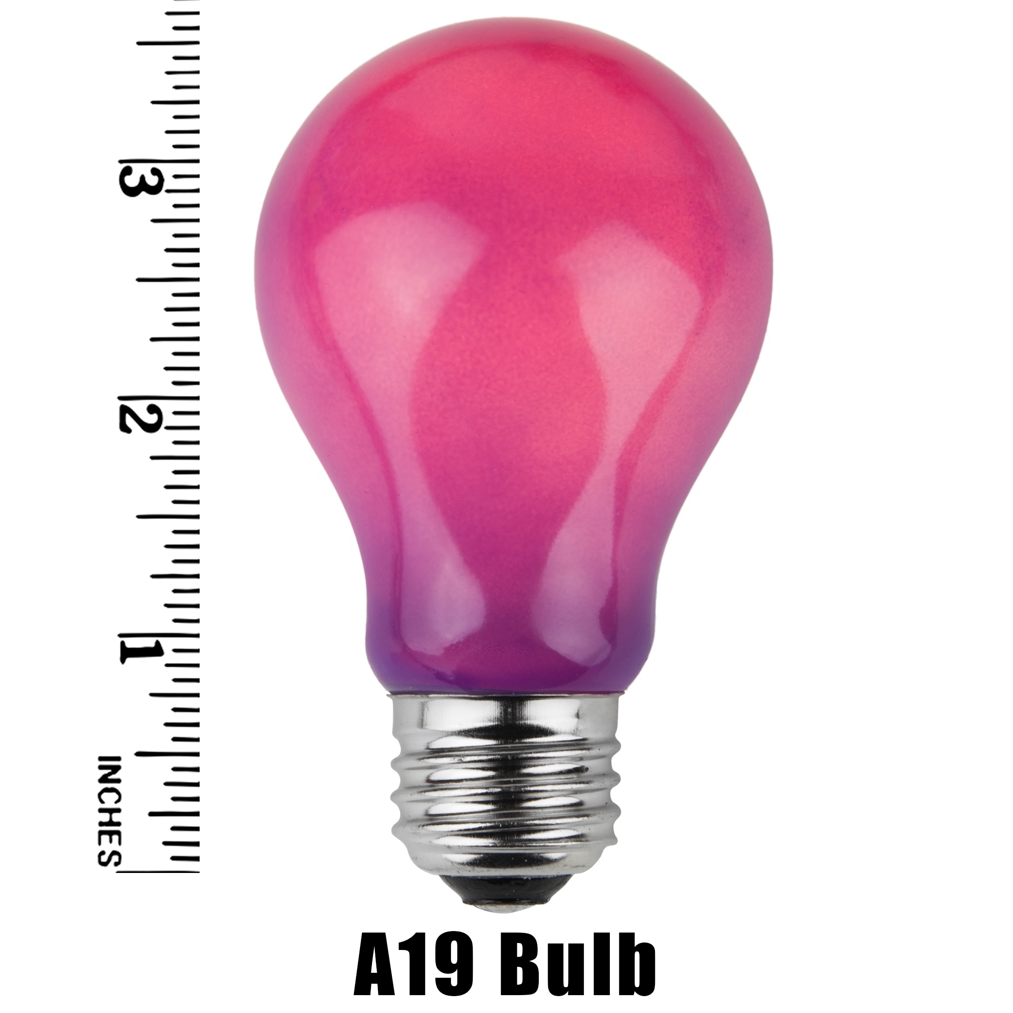 A19 Purple Opaque Incandescent Bulb Measurement