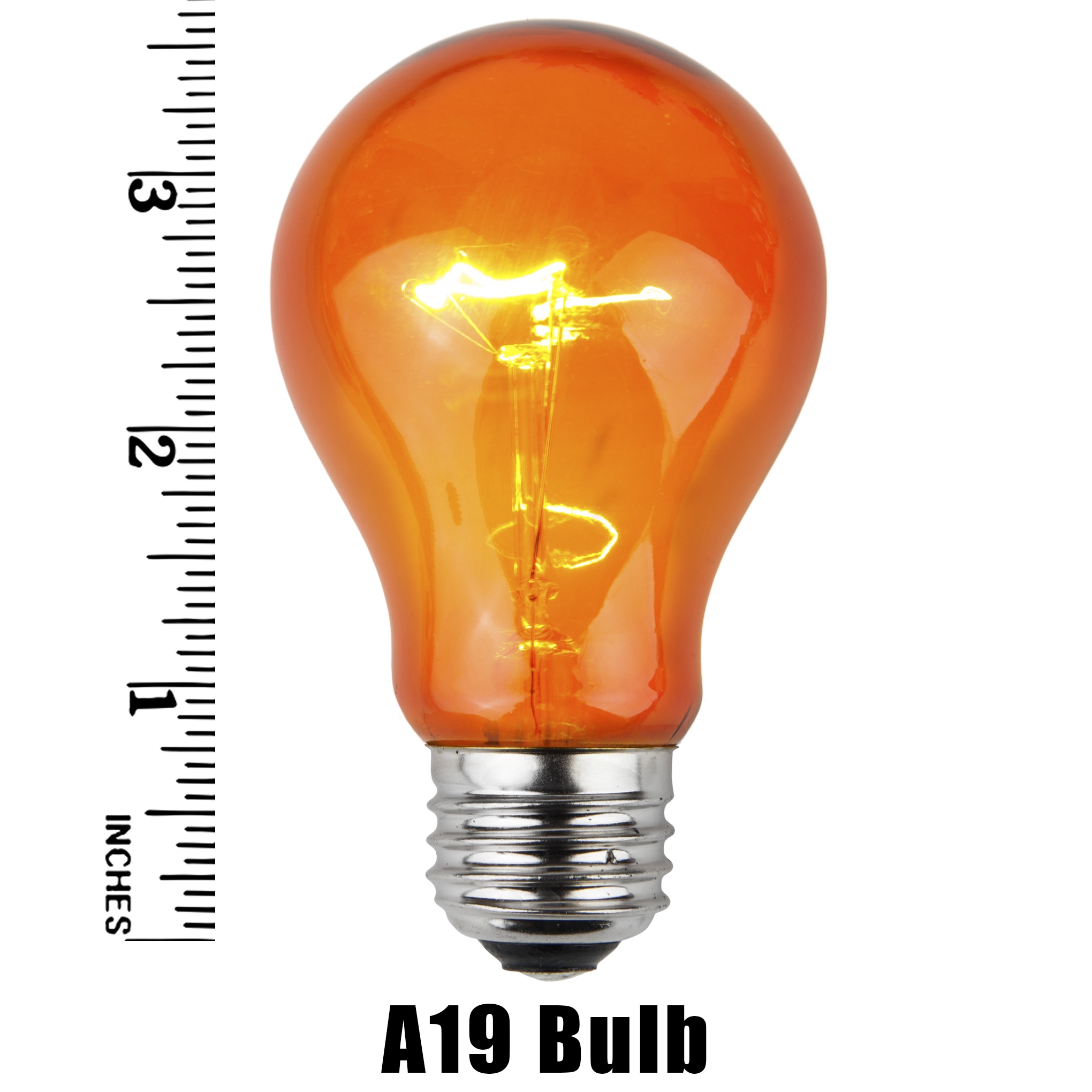 A19 Amber Transparent Incandescent Bulb Measurement