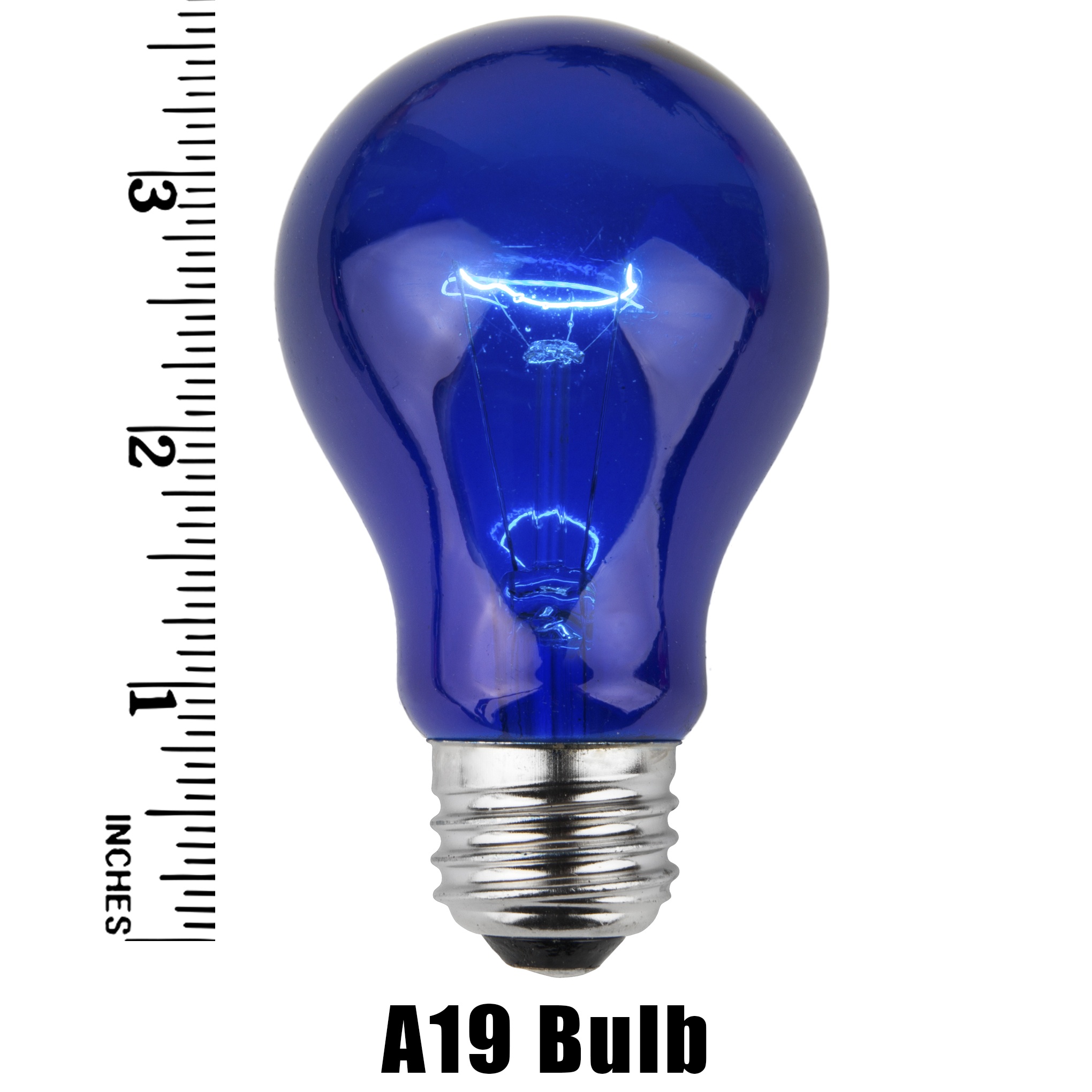 A19 Blue Transparent Incandescent Bulb Measurement