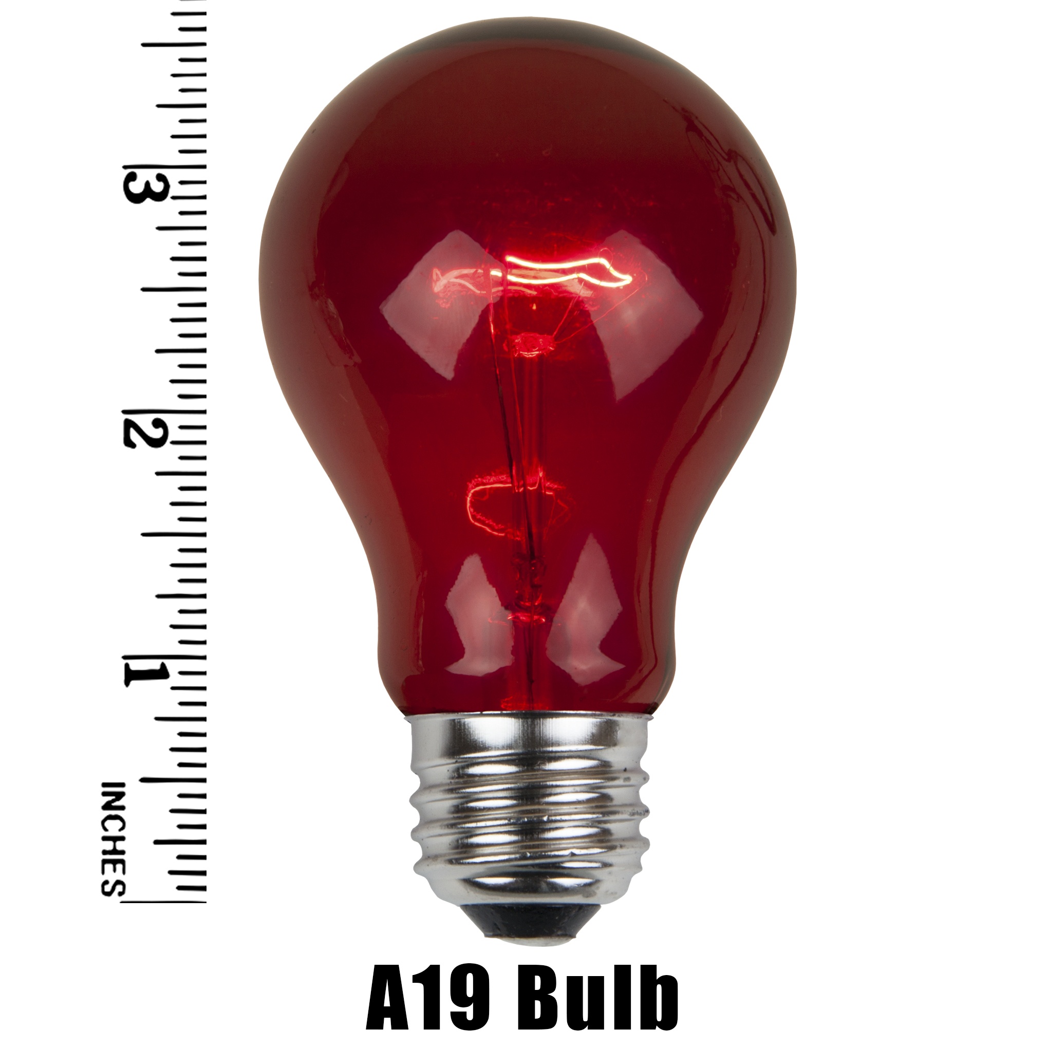A19 Multicolored Transparent Incandescent Bulbs Measurement