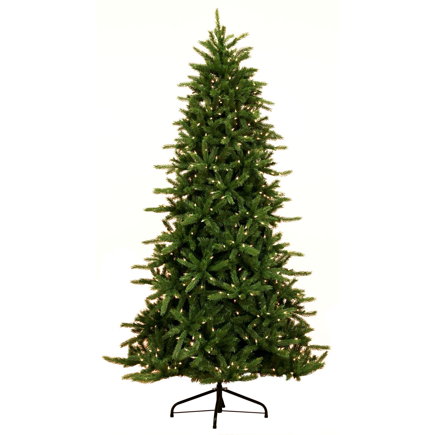 Balsam Fir Tree