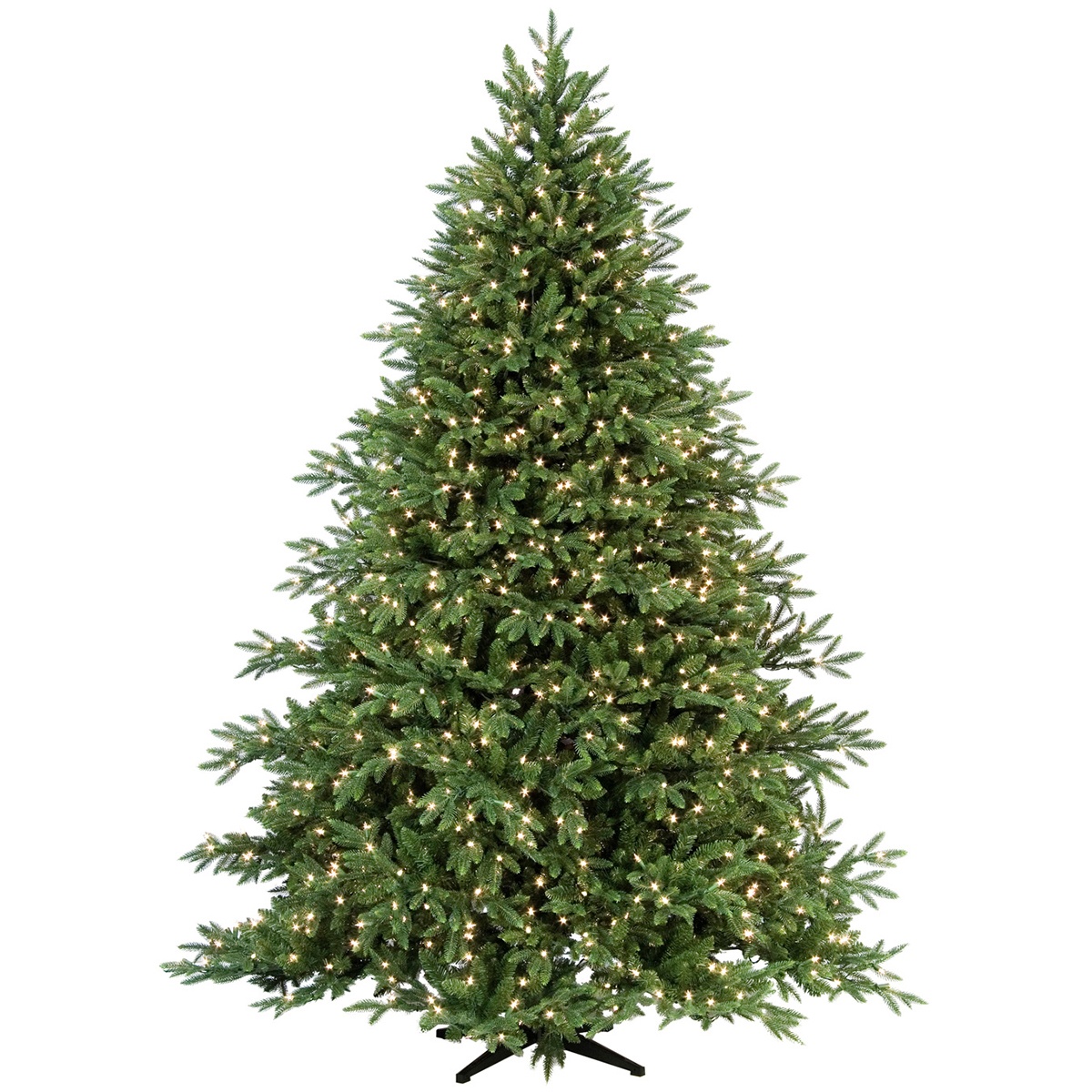 Carolina Fir Tree