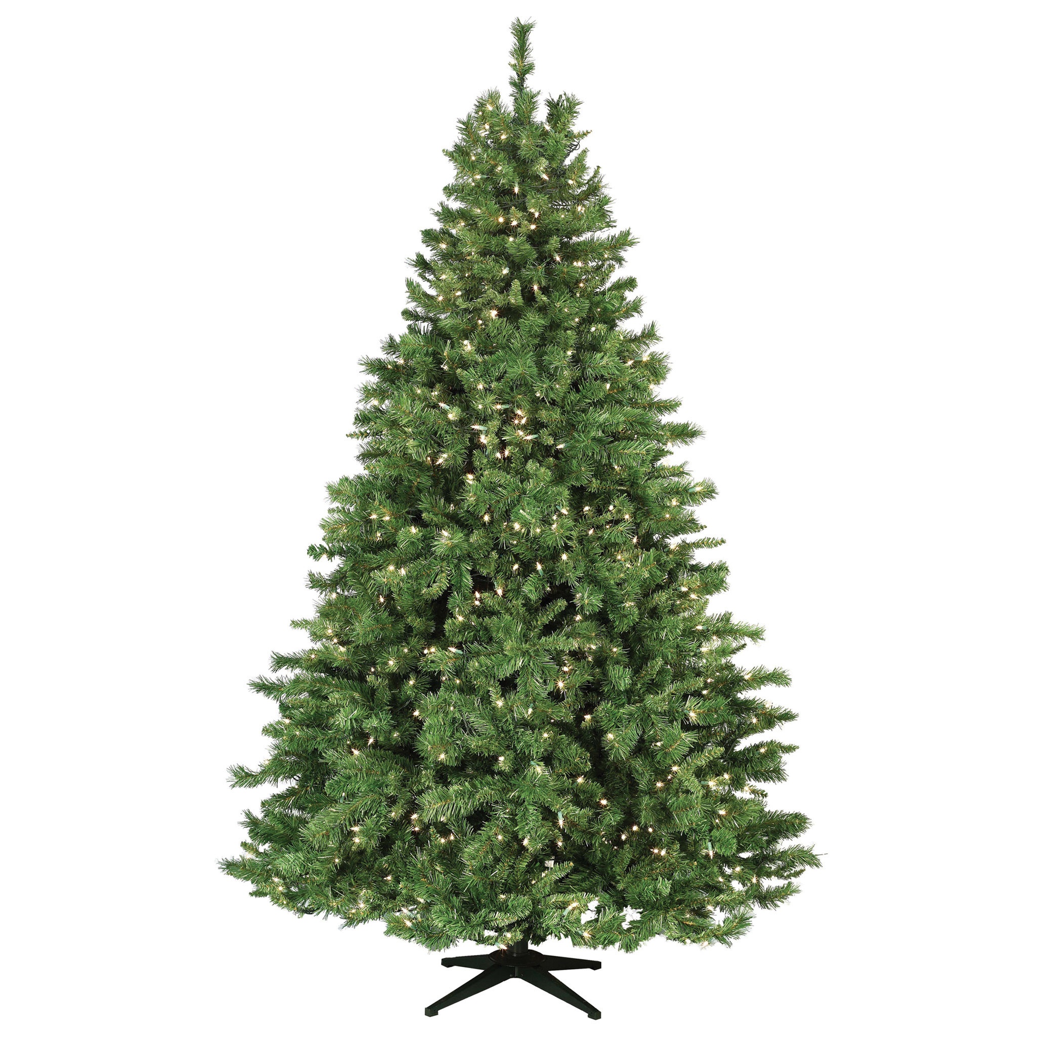 Cumberland Fir Tree