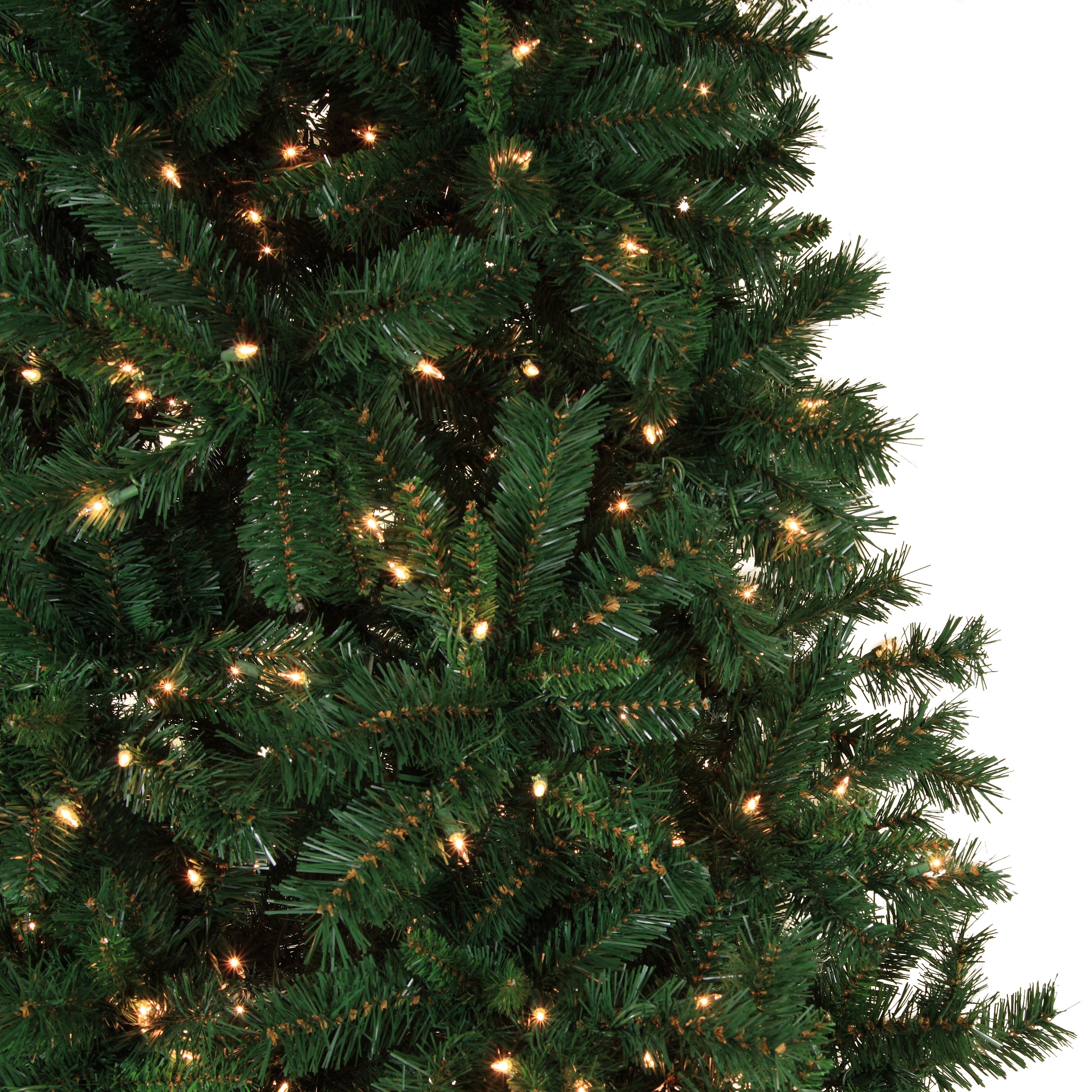 Cumberland Fir Profile