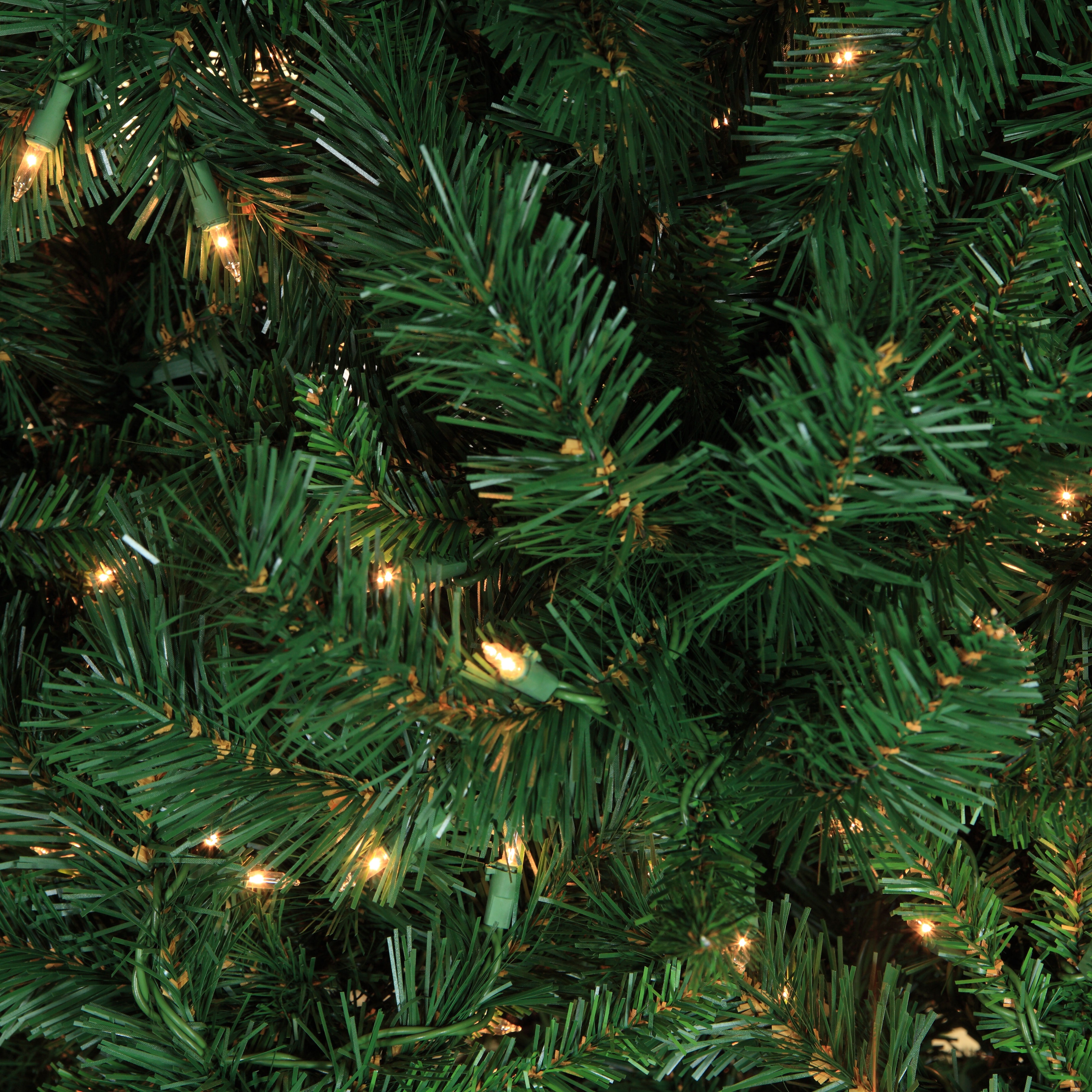 Cumberland Fir Tip Bundle