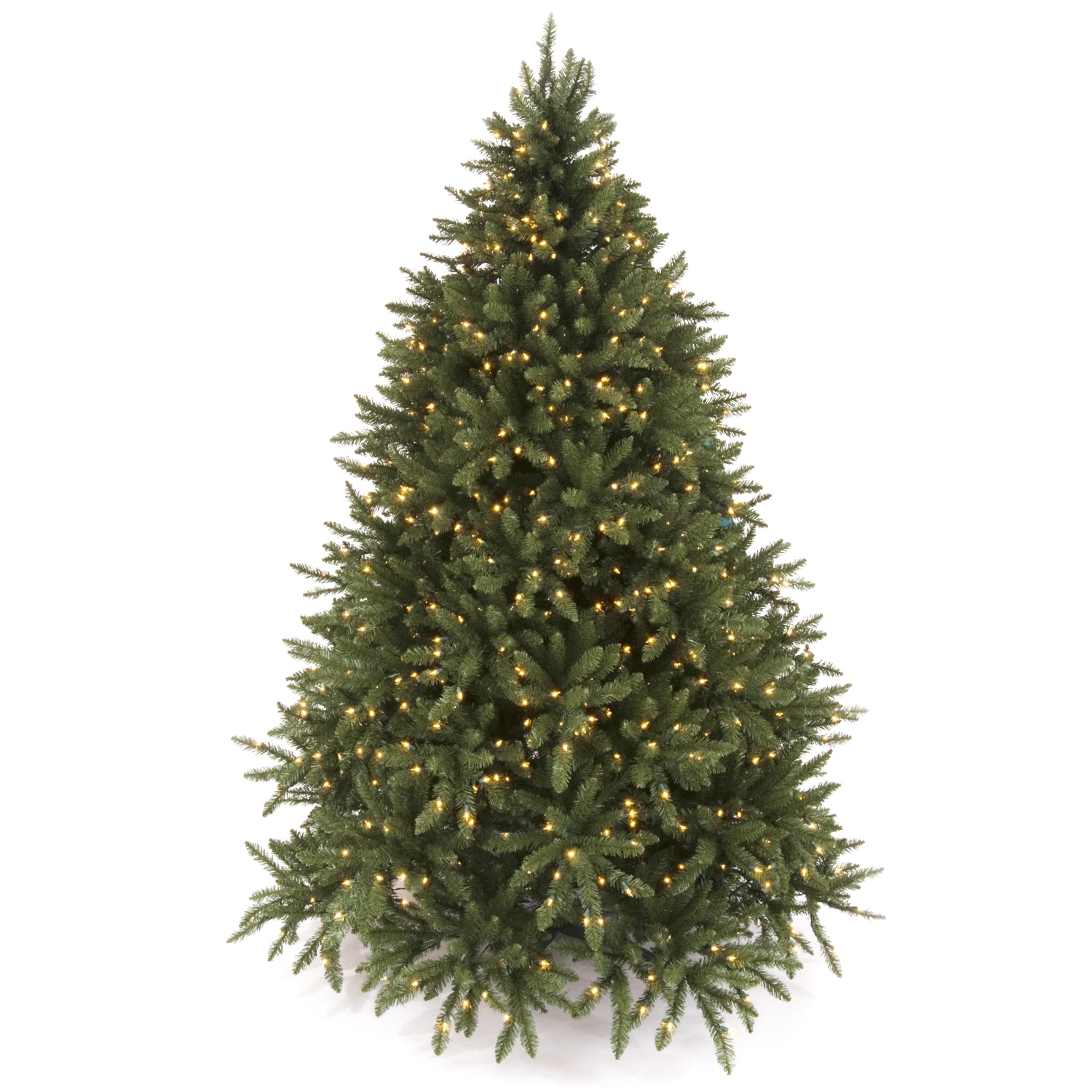 Douglas Fir Tree