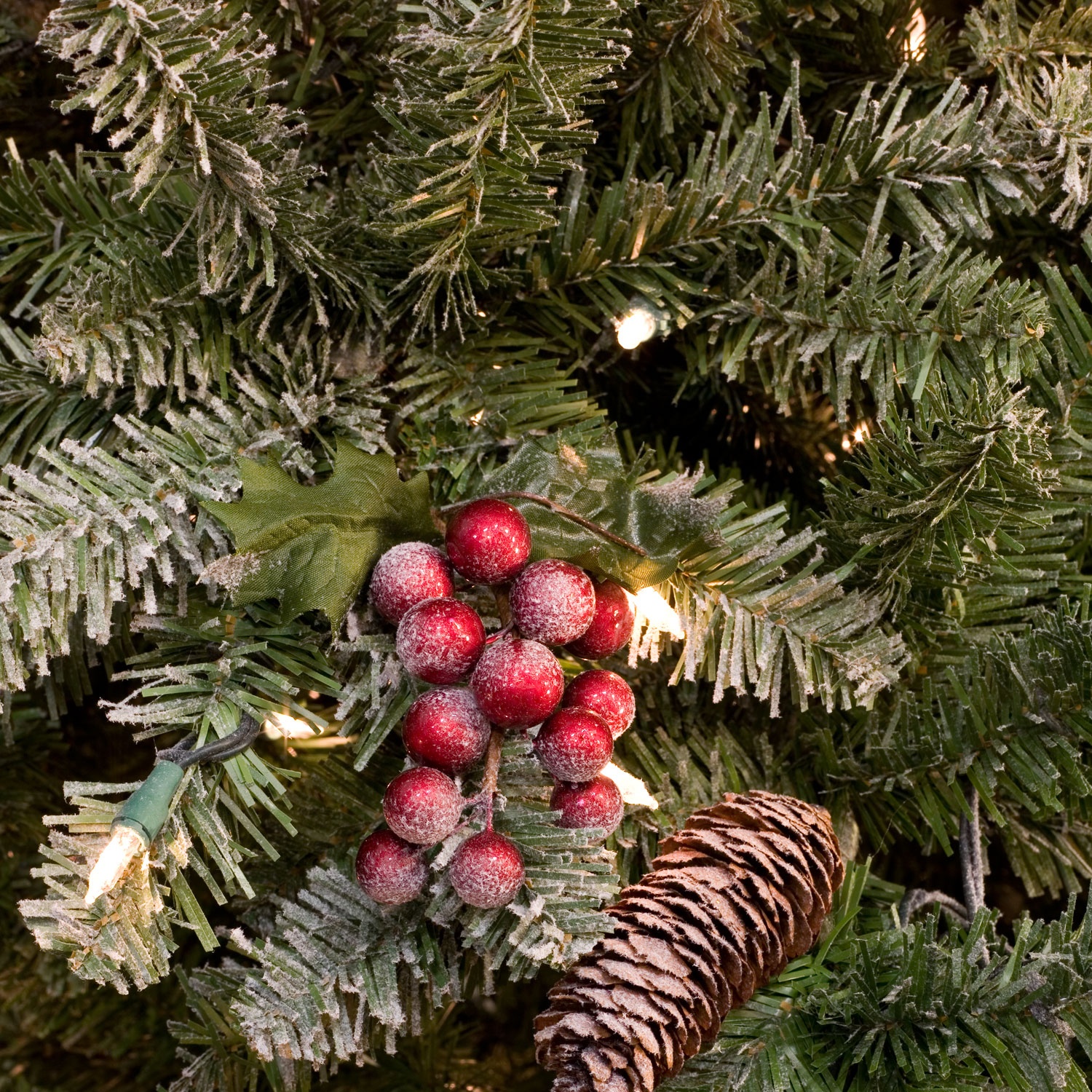 Hawthorne Fir Tip Bundle