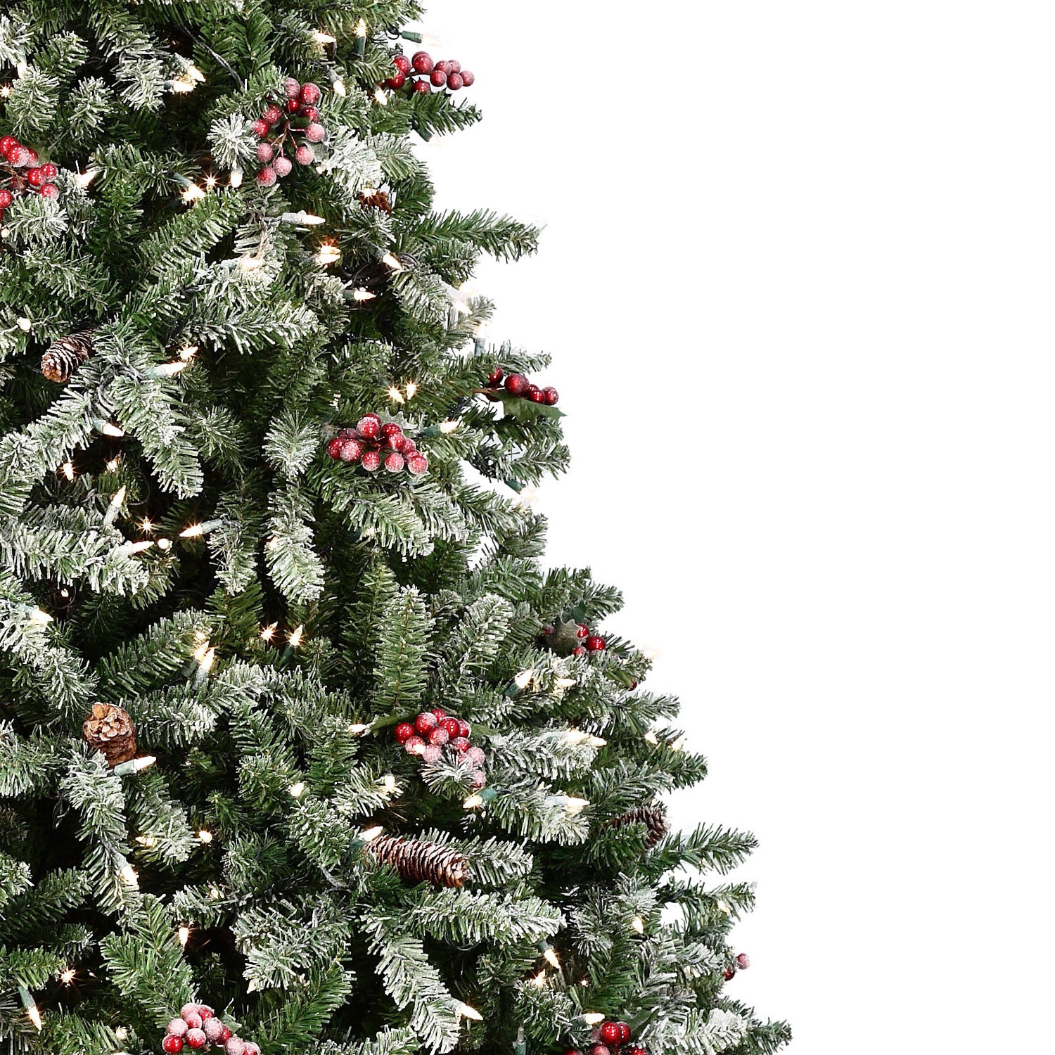 Hawthorne Fir Profile