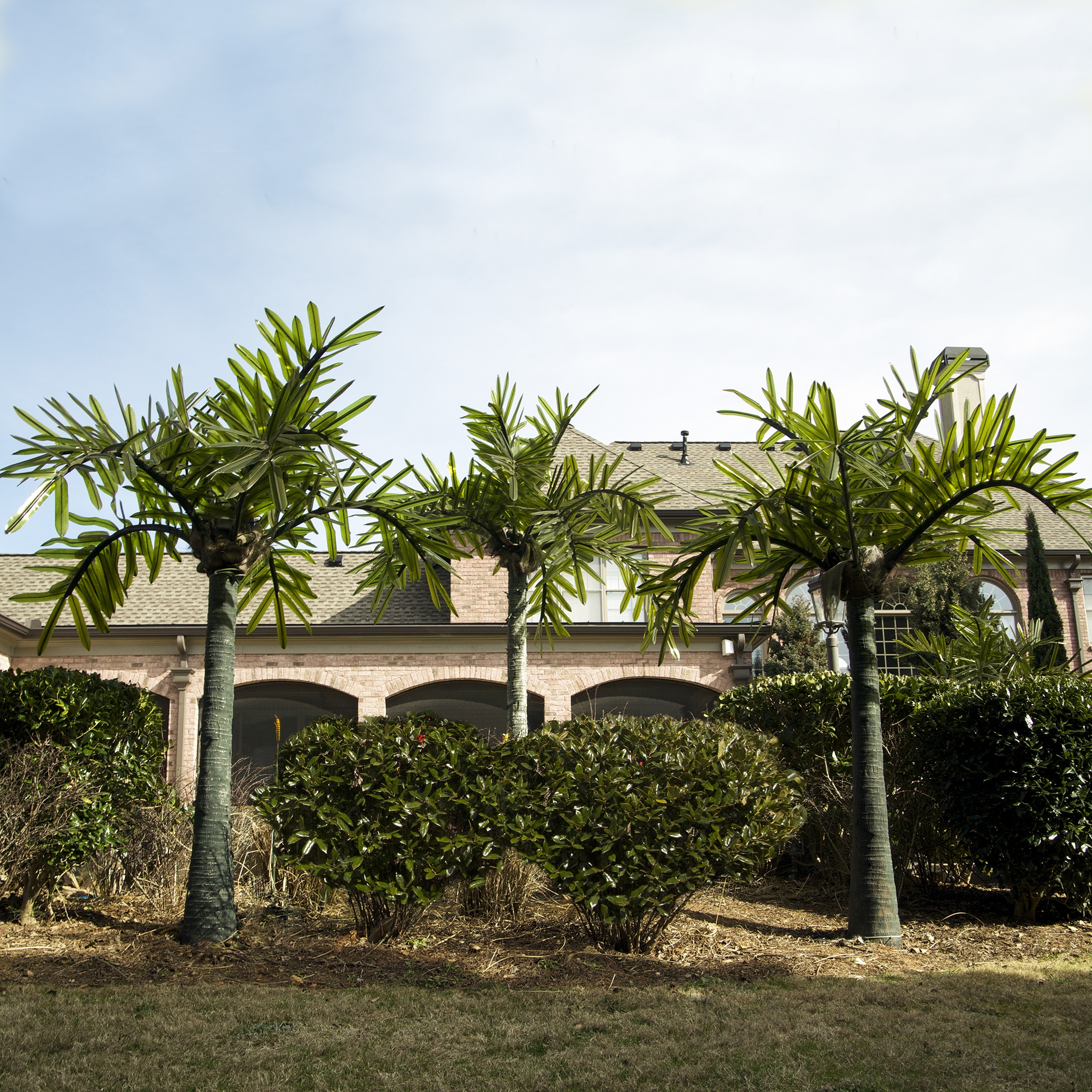 LED Commercial Realistic Palm Tree