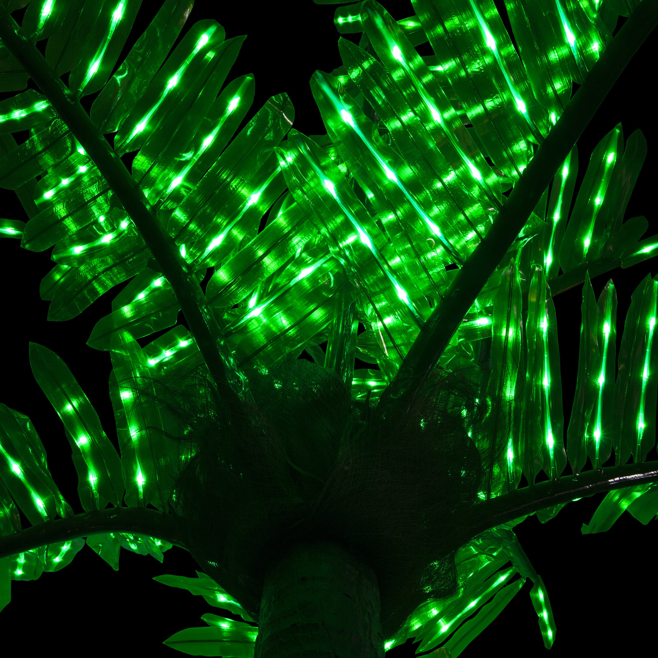 Lighted Palm Trees 20' LED Palm Tree Natural Green
