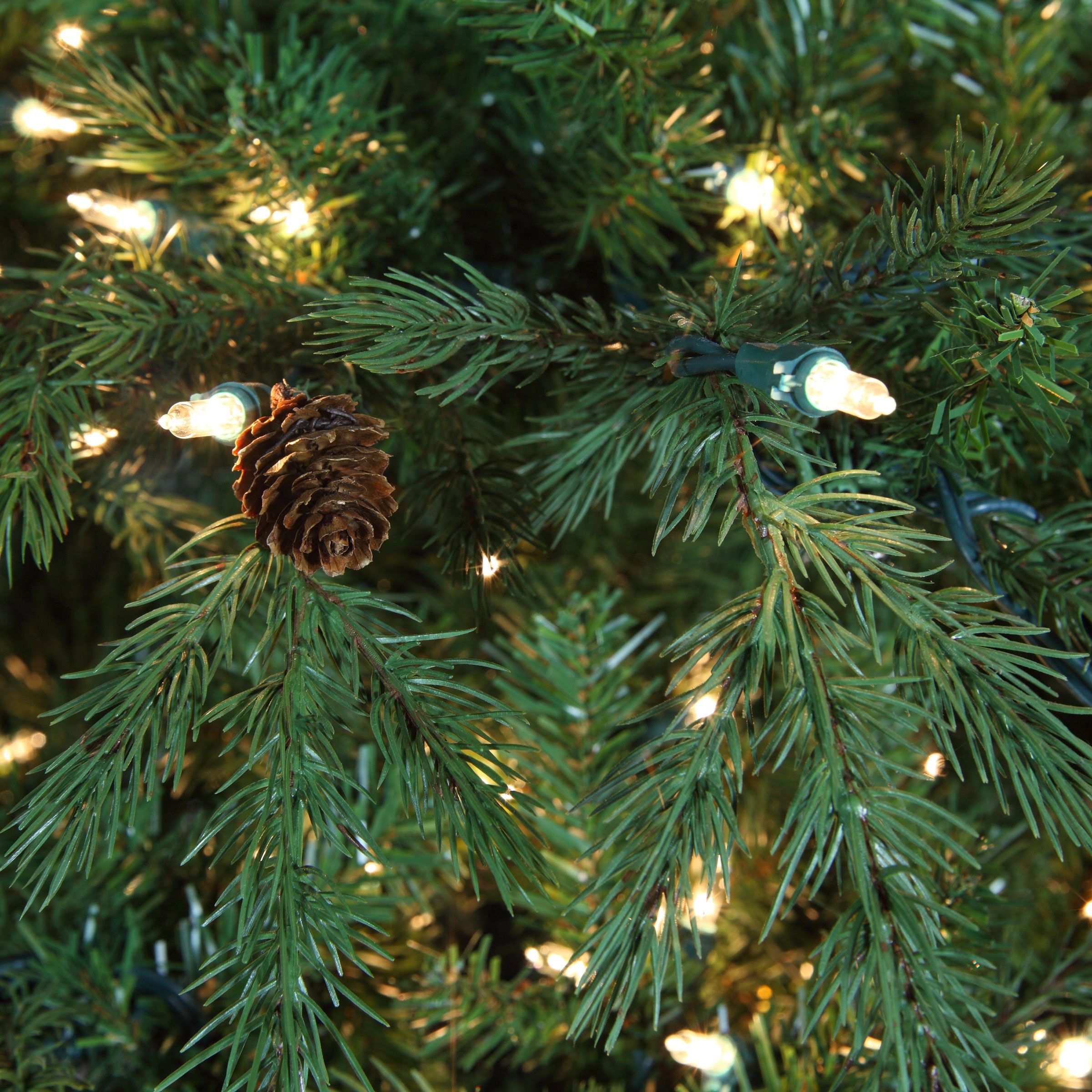 Hunter Tree Tip Bundle